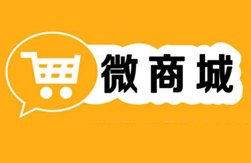 建立微型商城的主要流程和相关注意事项是什么？