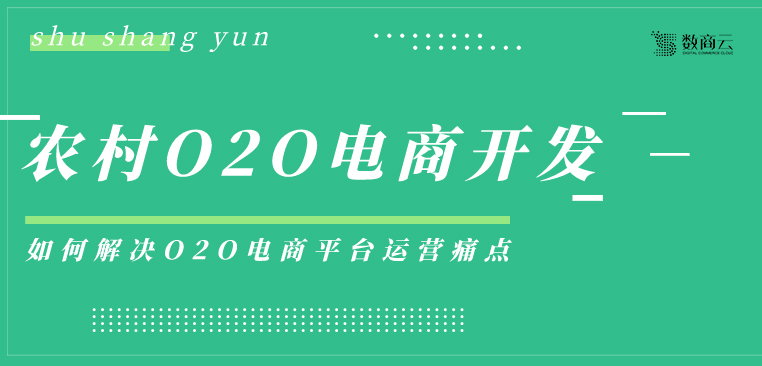 如何解决O2O电子商务平台运营中农村O2O电子商务系统发展的痛点？