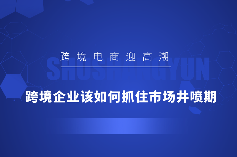 跨境电子商务高潮，跨国公司应如何抓住市场井喷期？