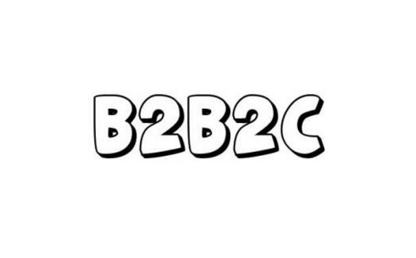 B2B2C电子商务系统模型主导着电子商务发展的命运