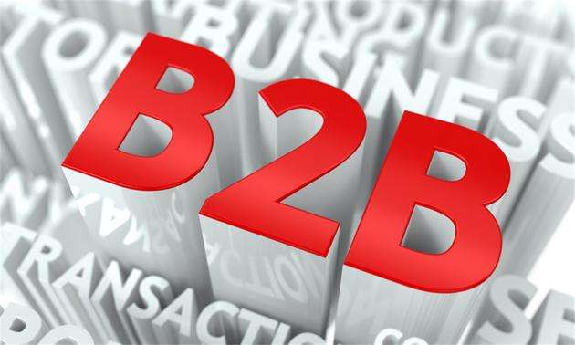 国内B2B电子商务系统的发展需要哪些接口？